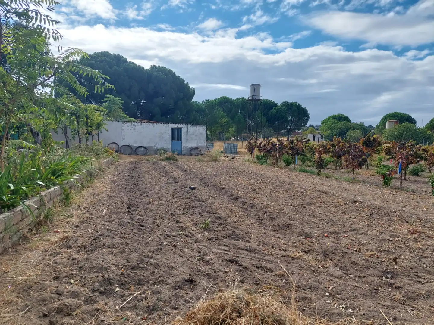 Terreni e lotti in vendita a Santa Cruz del Retamar pueblo
