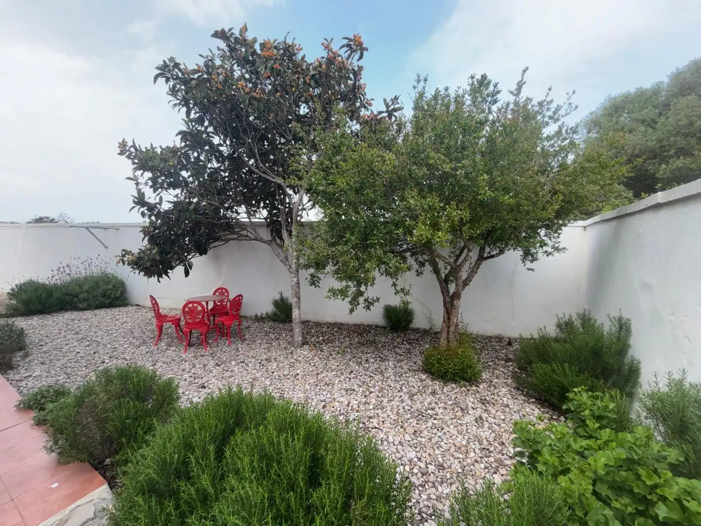 Jardí de Finca rústica en venda en Barbate amb Jardí privat, Terrassa i Traster