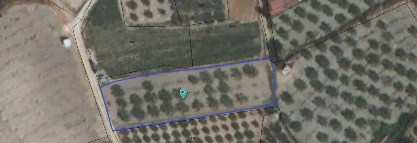 Lands and plots for sale in Pliego, imagen 2