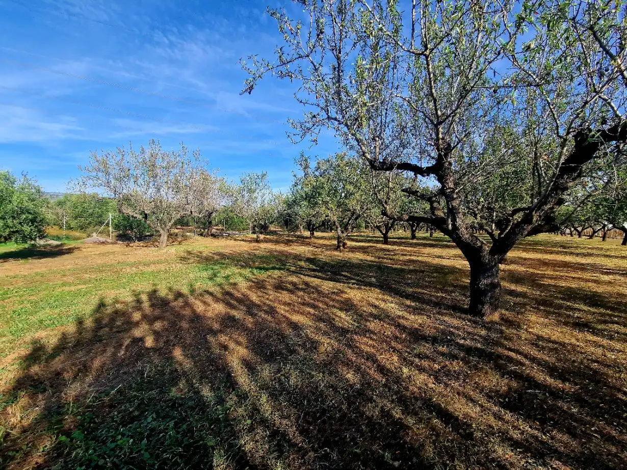 Terrain rustique à vendre à Camí de Perafita 71, imagen 4