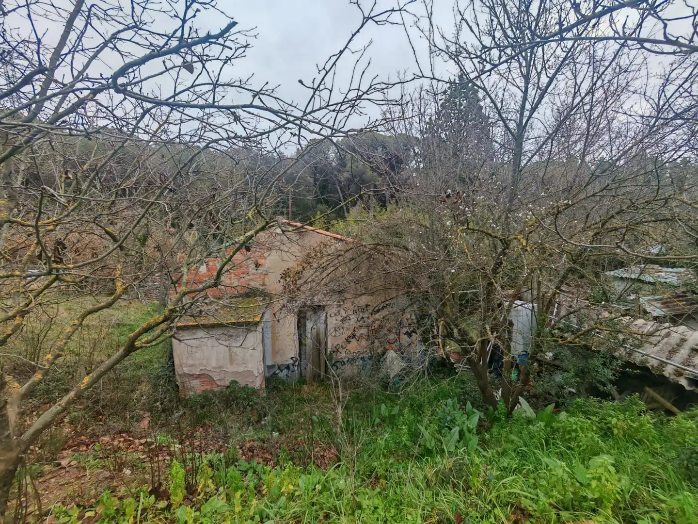 Terreno rustico in vendita a Zona Industrial