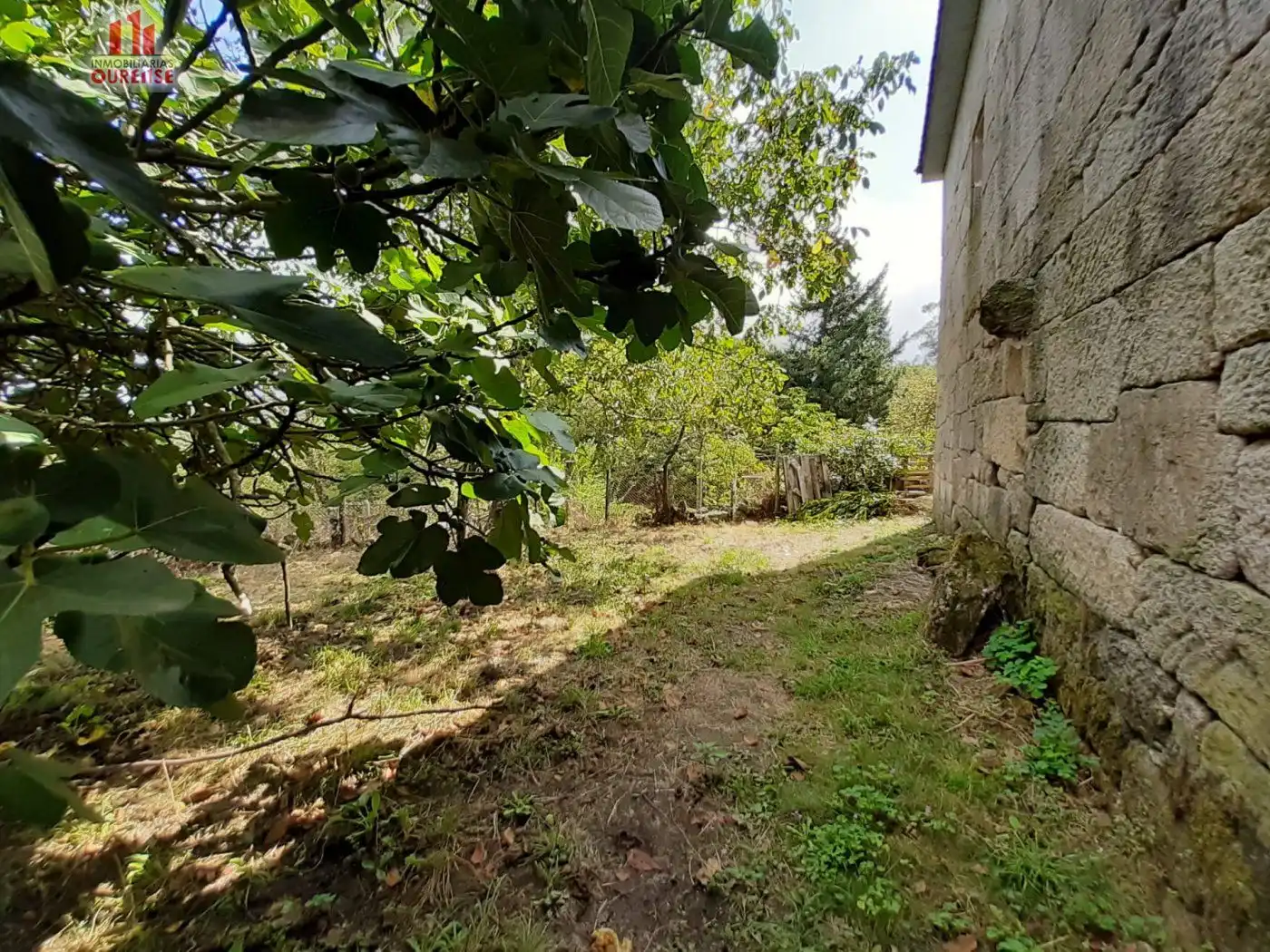 Casa en venda a O Pereiro de Aguiar, imagen 5