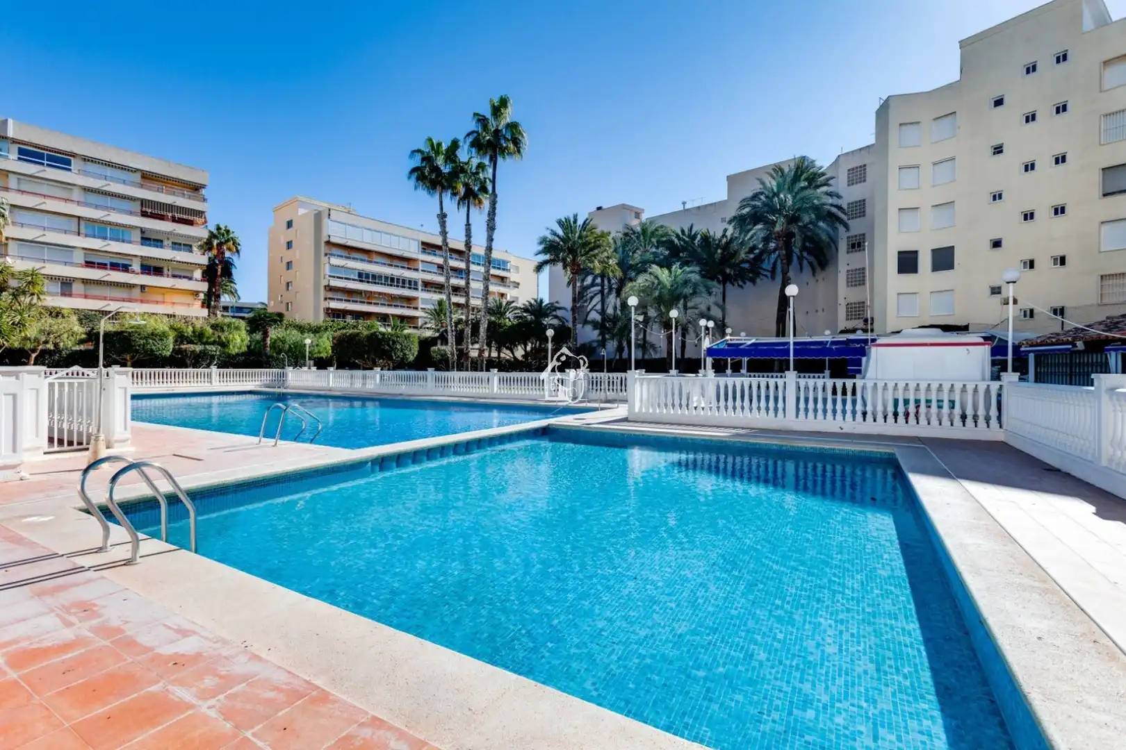 Piscina de Planta baixa de lloguer en Torrevieja amb Aire condicionat, Terrassa i Piscina