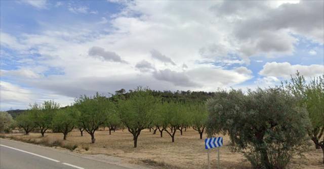 Terreno en Venta en Casinos