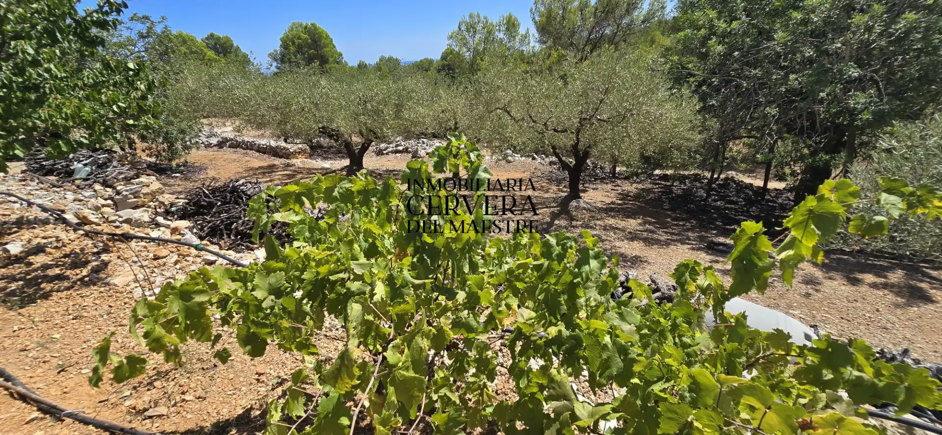 Rural land for sale in Vía Po Polígono 17 60, imagen 28