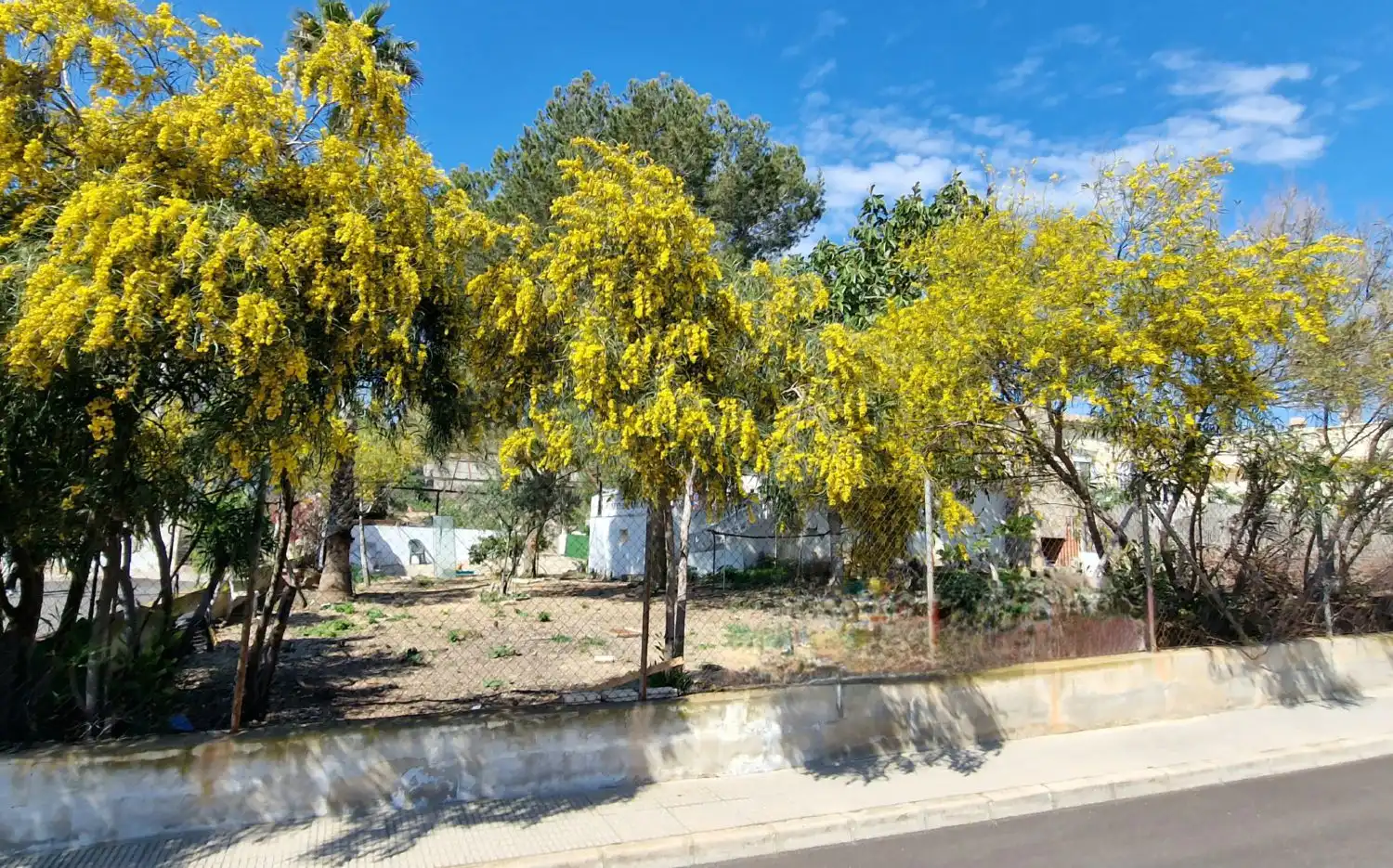 Vista exterior de Finca rústica en venda en Algorfa amb Jardí privat