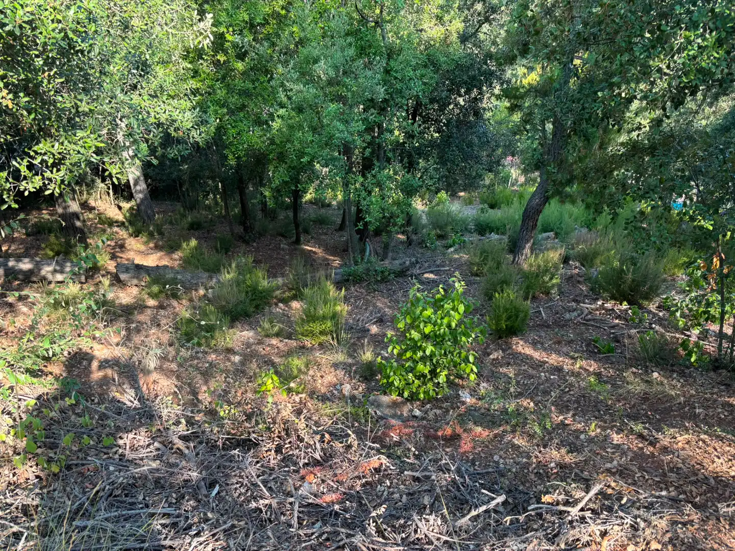 Terreno residencial en venta en Carrer del Gabi 18, imagen 4