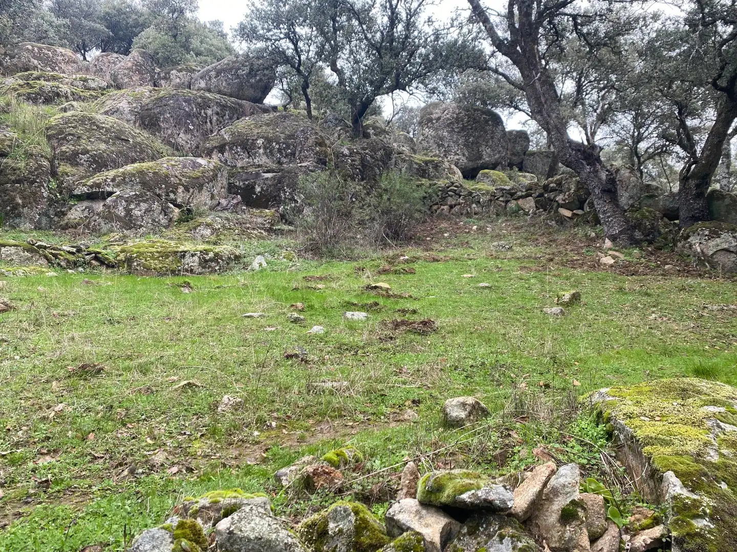 Terreni e lotti in vendita a Navamorcuende, imagen 13