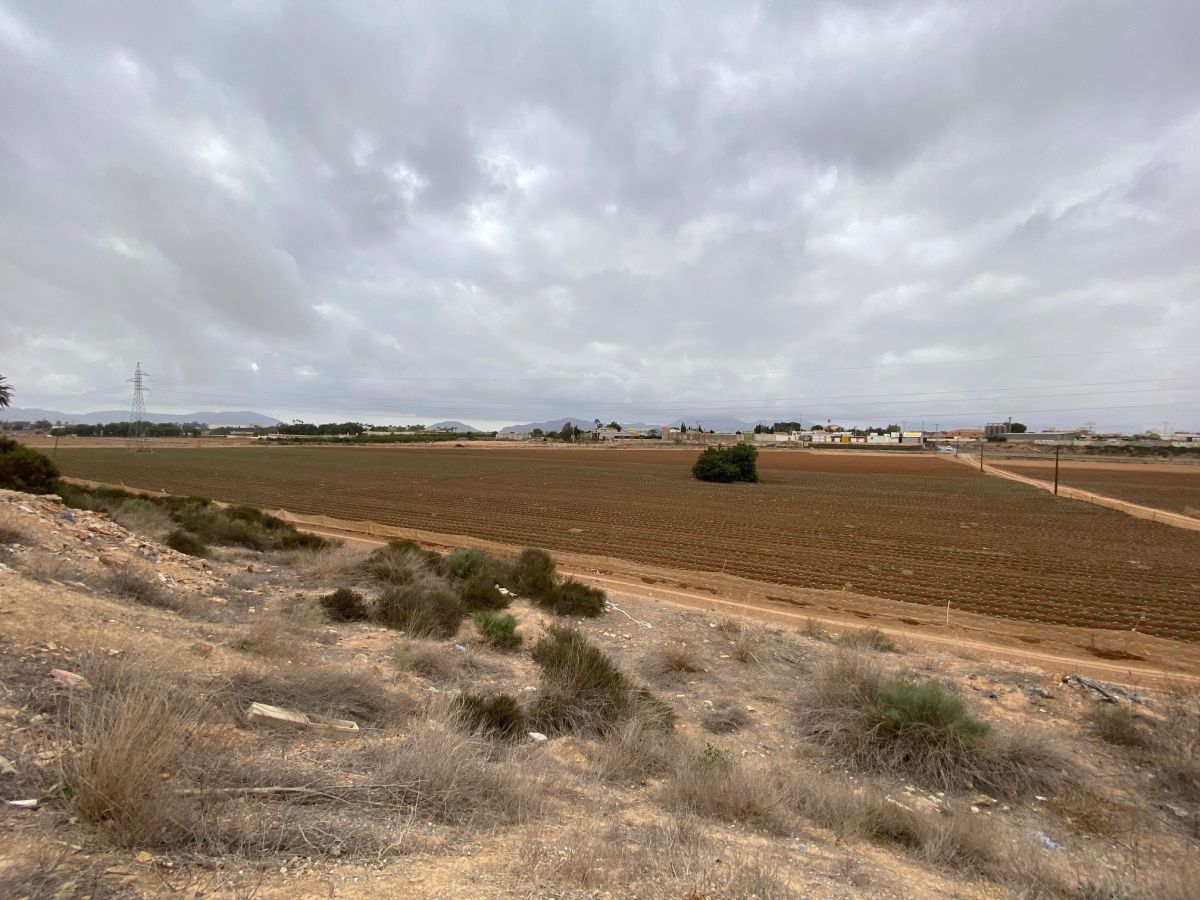 Finca rústica en venda en Cartagena