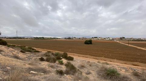 Foto 3 de Finca rústica en venda a Molino Derribao, Santa Ana, Murcia