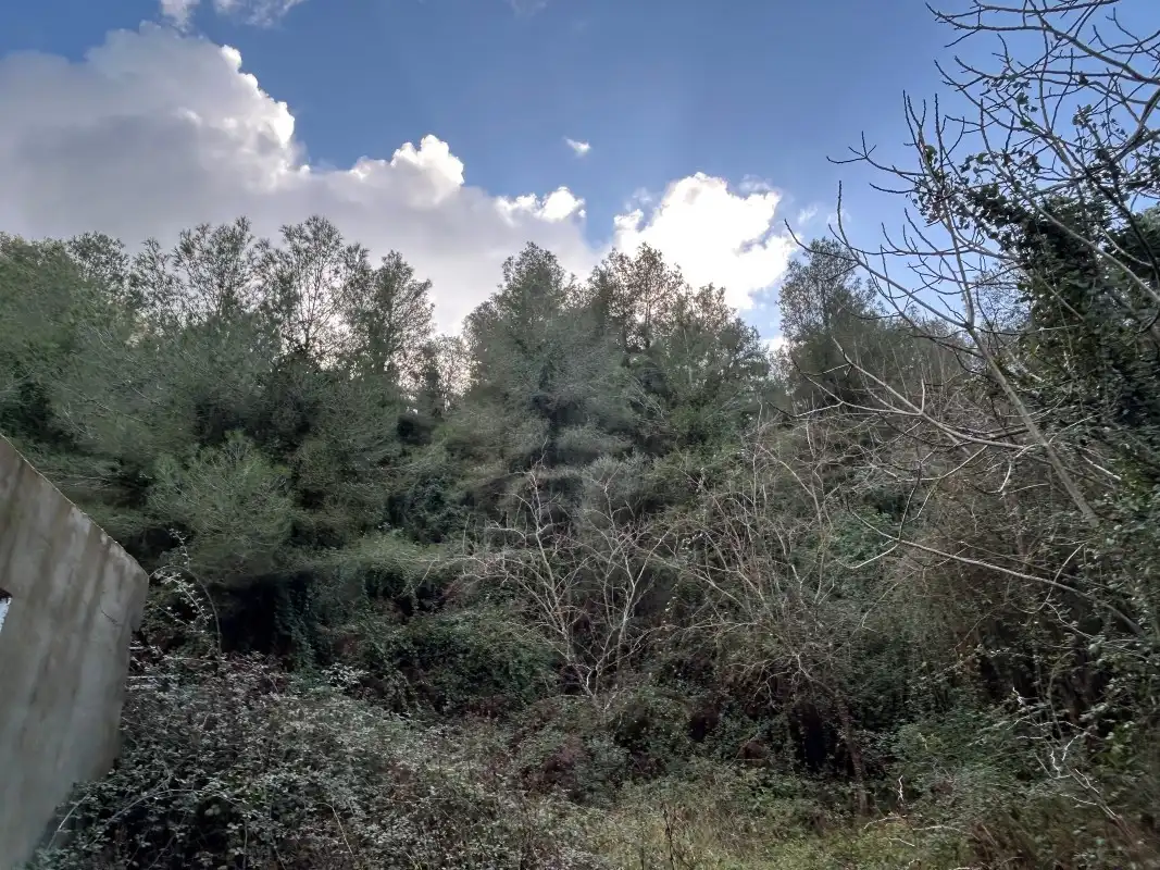 Rural land for sale in Partida Tancaes, imagen 8