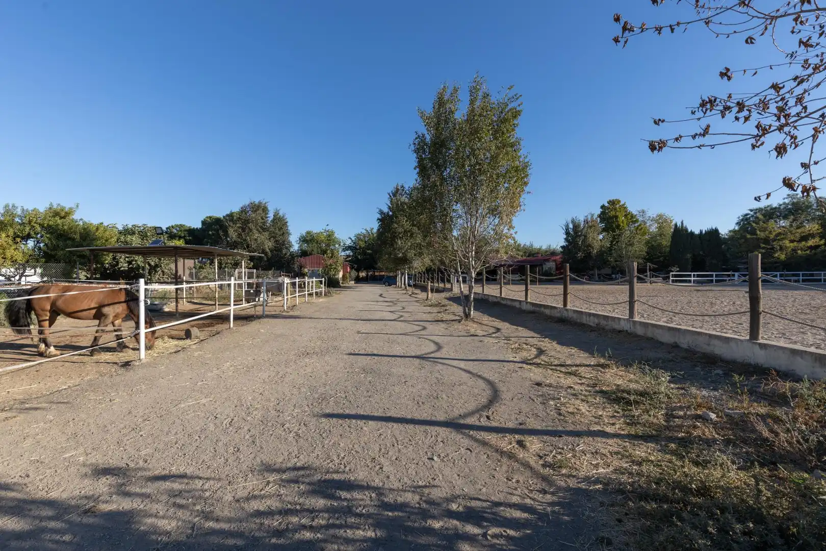 Casa rustica in vendita a DISEMINADOS, imagen 45
