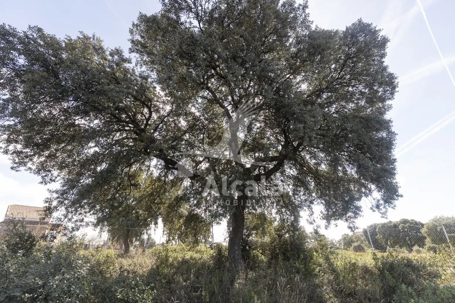 Residential land for sale in Chiloeches, imagen 28