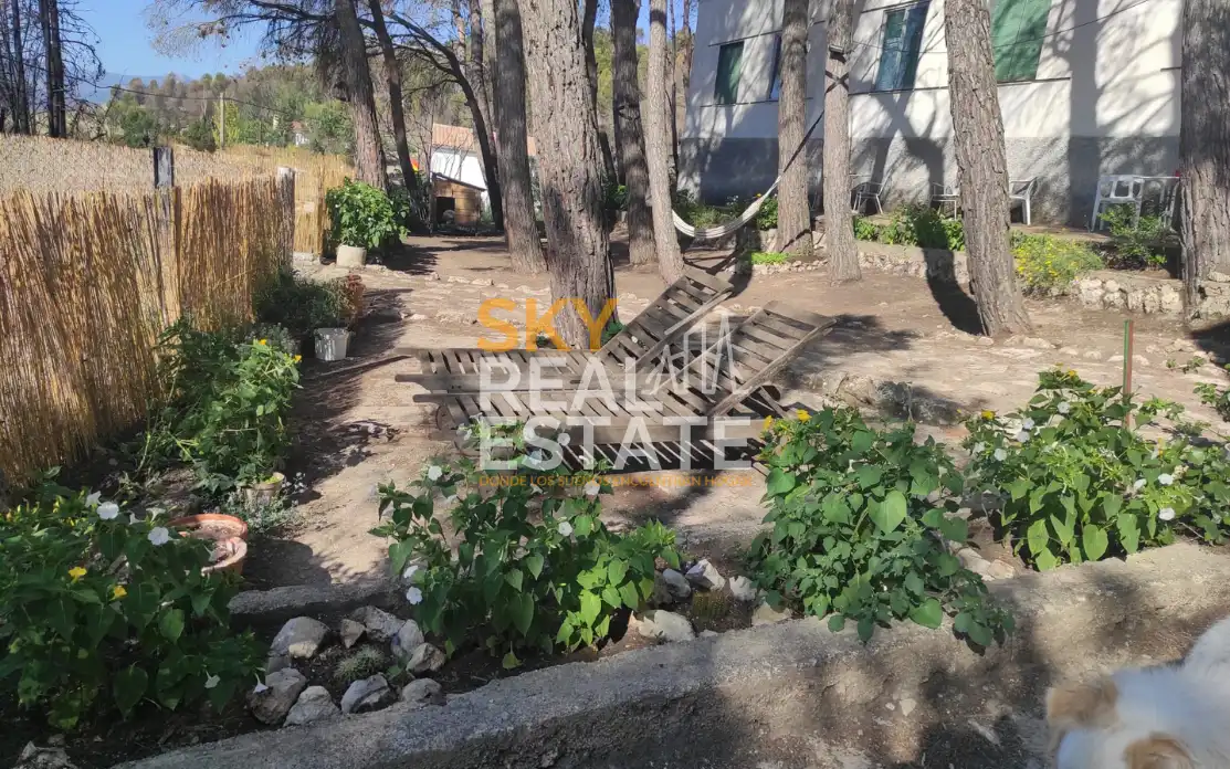 Garden of Buildings for sale in Borja