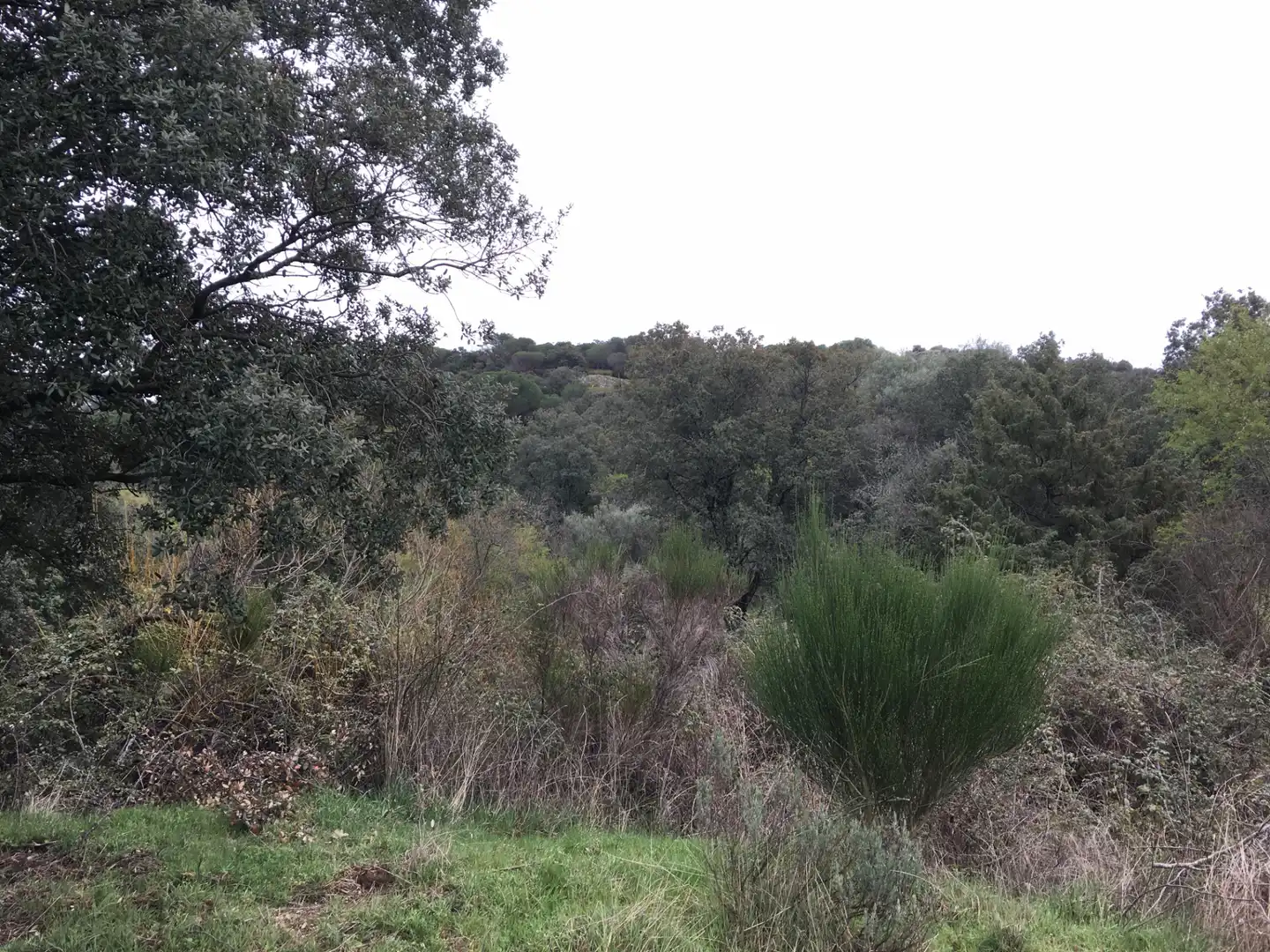 Rural land for sale in Cadalso de los Vidrios, imagen 16