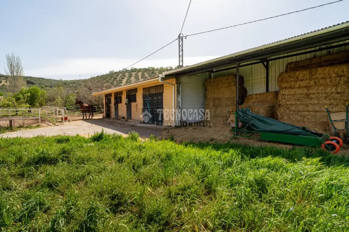 Vista exterior de Finca rústica en venda en Iznalloz