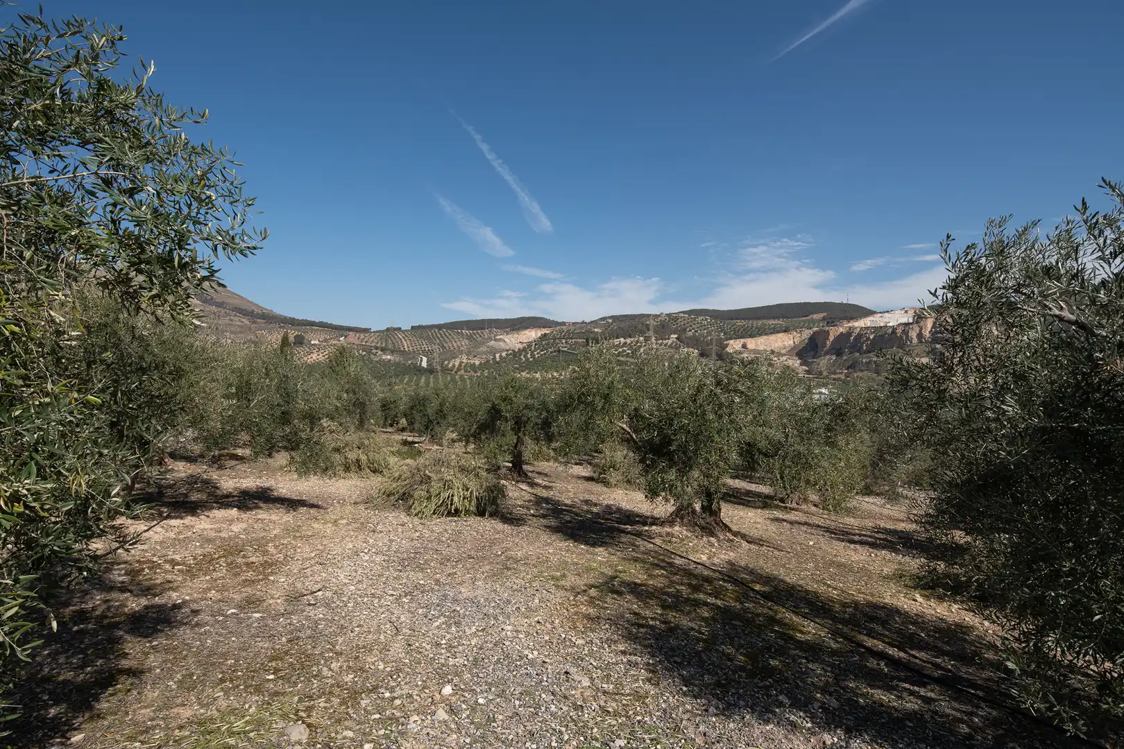 Casa rústica amb jardí en venda a Atarfe, imagen 64