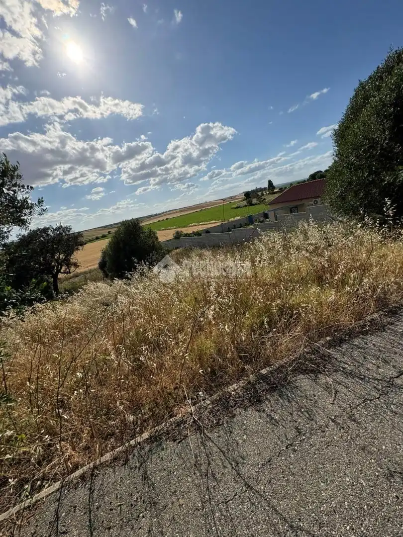 Terreny residencial en venda a Sanlúcar la Mayor, imagen 23