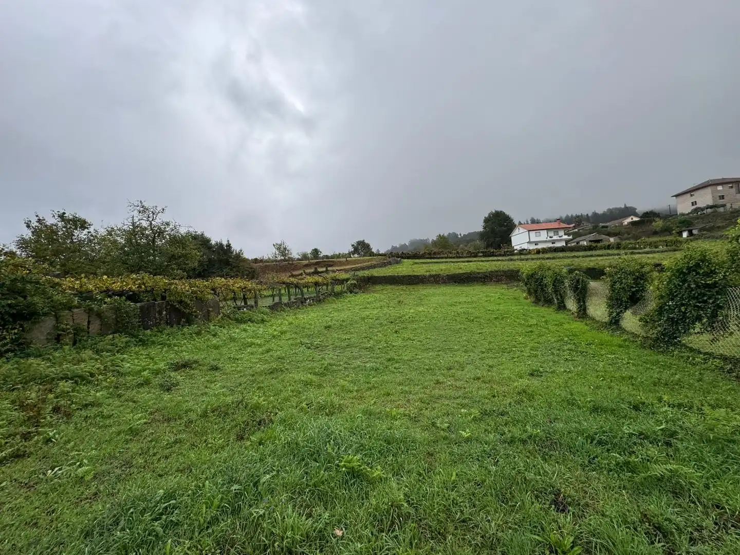 Lands and plots for sale in Soutomaior, imagen 7