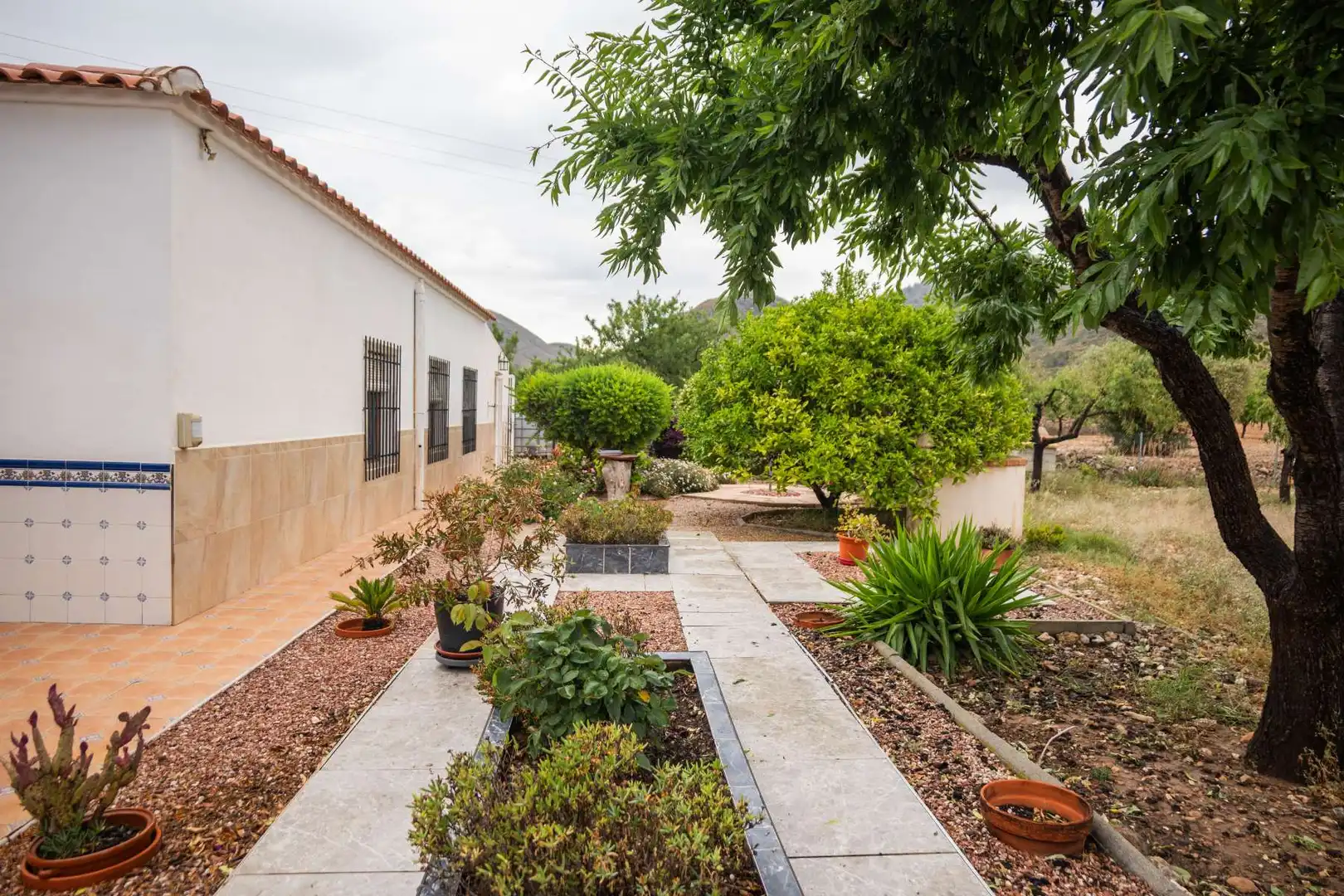 Jardín de Casa o chalet en venta en Orihuela con Jardín privado, Terraza y Trastero