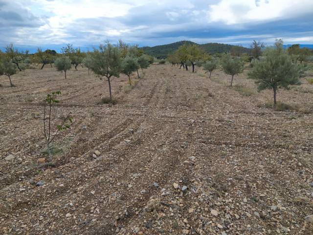 Terreno en Venta en Diseminado P058, 95 en Urbanizaciones