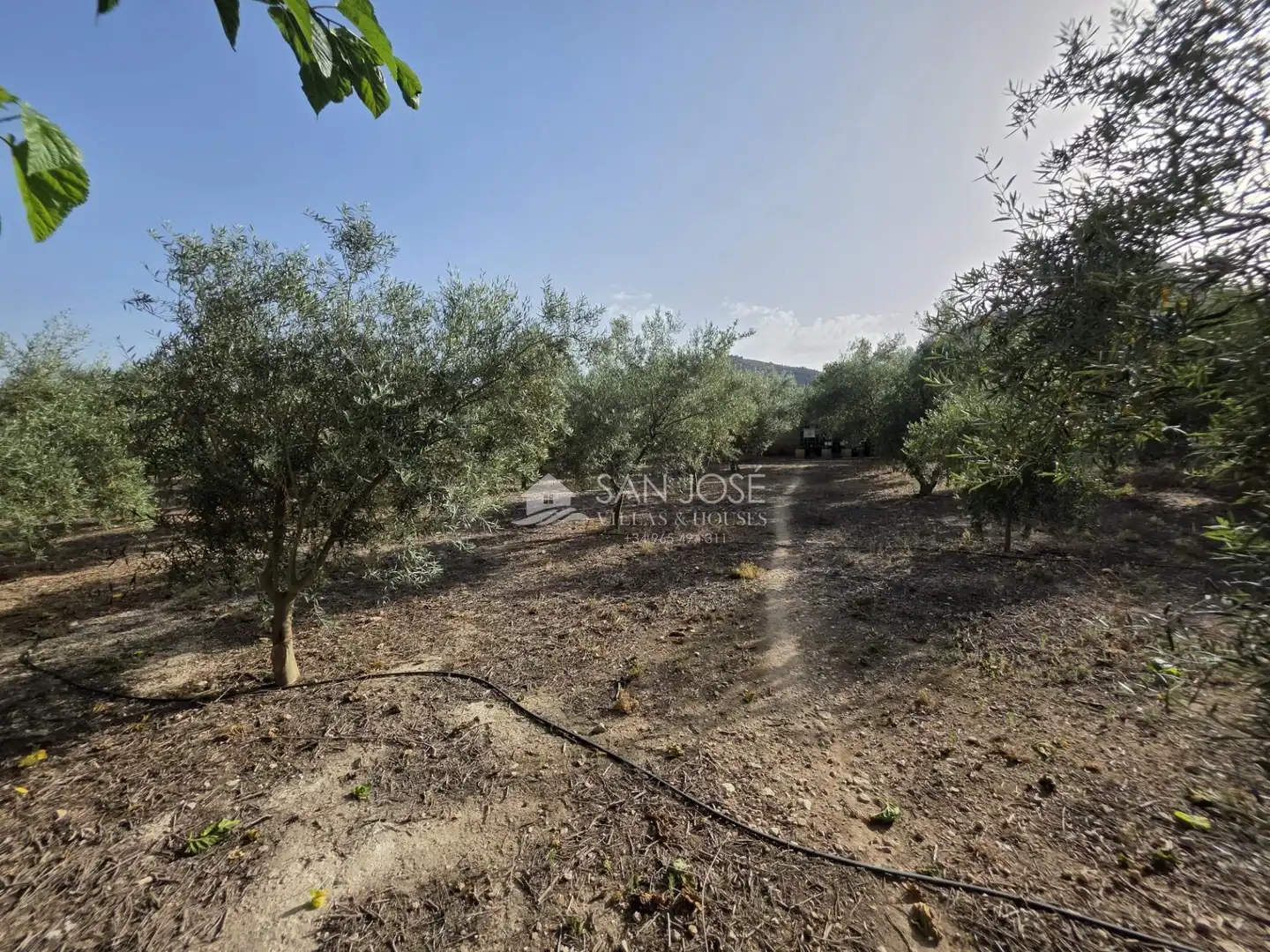 Chalet con jardín en venta en Pedanías Oeste, imagen 23