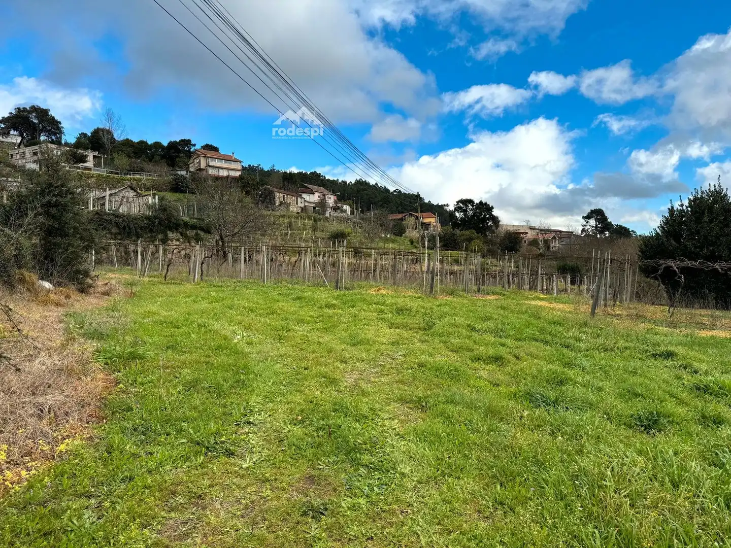 Rural land for sale in Arbo, imagen 36