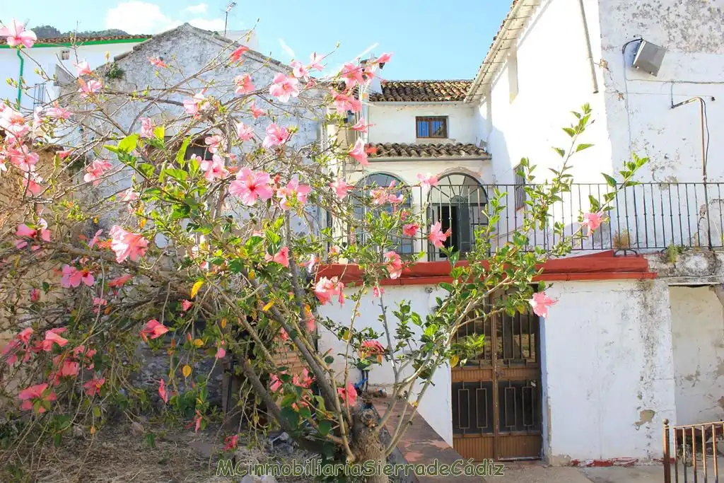 Haus mit Garten zum Verkauf in Constitución, imagen 88