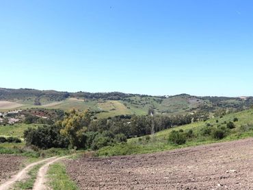 Rustikales Grundstück zum Verkauf in Vejer