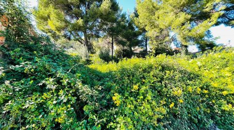 TERRENO CON VISTAS ESPECTACULARES!!!!, immagine 5