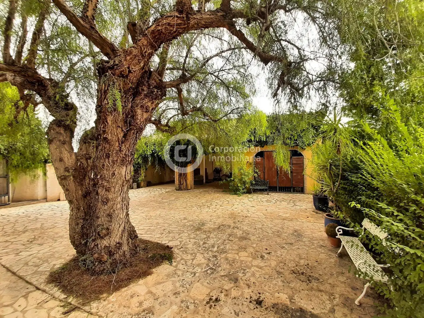 Jardín de Casa o chalet en venta en Lorca con Jardín privado, Terraza y Trastero