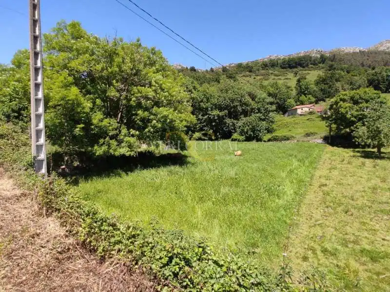 Terreno residencial en venta en Collía