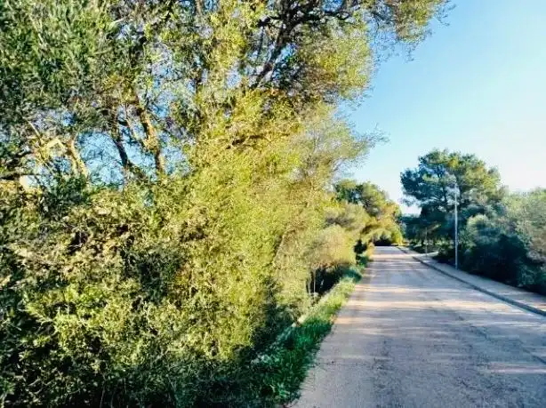Residencial en venta en Cala Murada