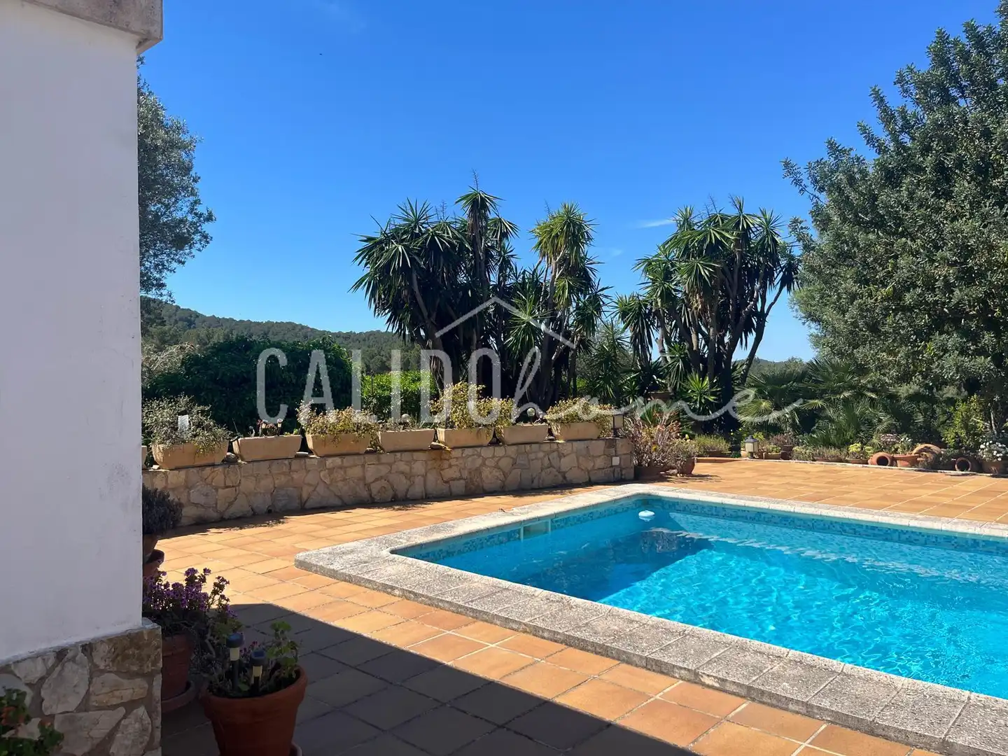 Haus oder Chalet zum Verkauf in Calvià pueblo