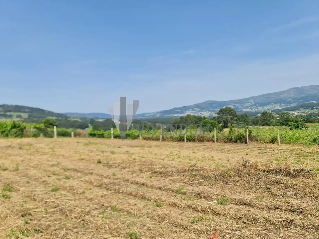 Rural land for sale in Arbo, imagen 13
