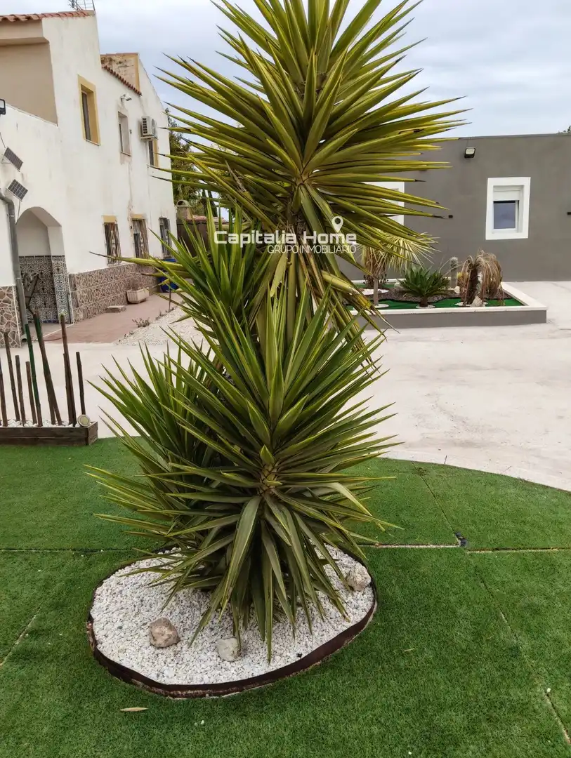 Houses for sale in Cañada, Alicante