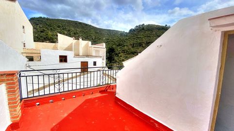 Foto 3 de Finca rústica en venta en Salares, Málaga