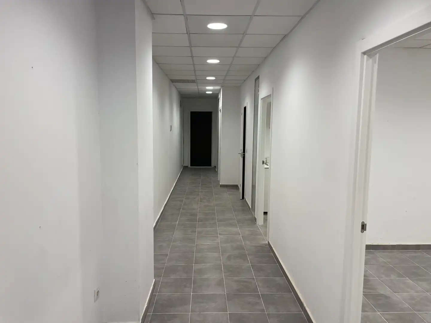Gewerbefläche zur Miete in Avenida Teodomiro, imagen 6