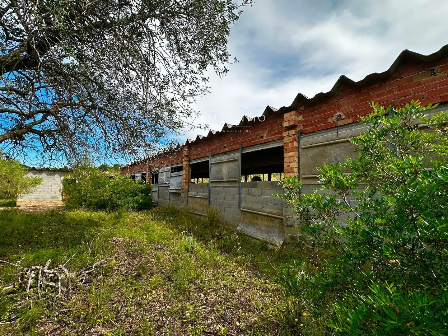 Terreno rústico en venta en Tivissa, imagen 38