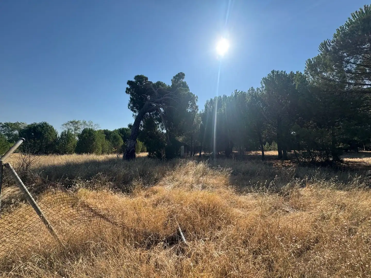 Rural land for sale in Camino del Serrano, imagen 2