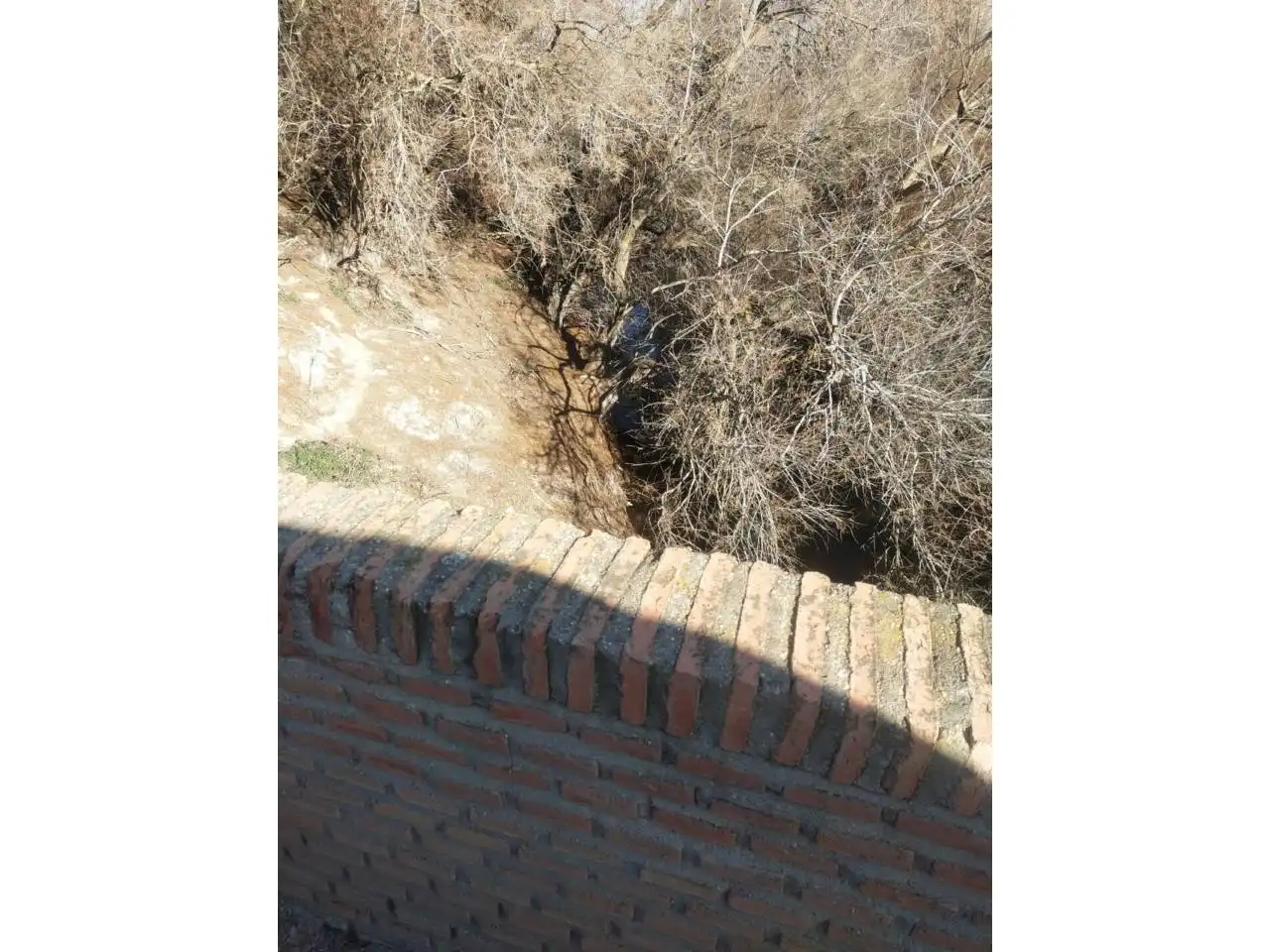 Terreny rústic en venda a Callejon alcázar de san juan, imagen 15