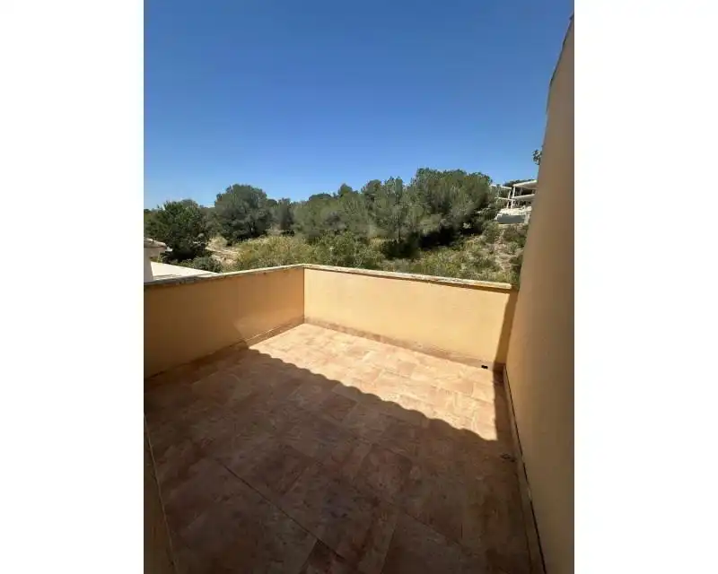 Villa avec terrasse à vendre à El Pinar de Campoverde, imagen 17
