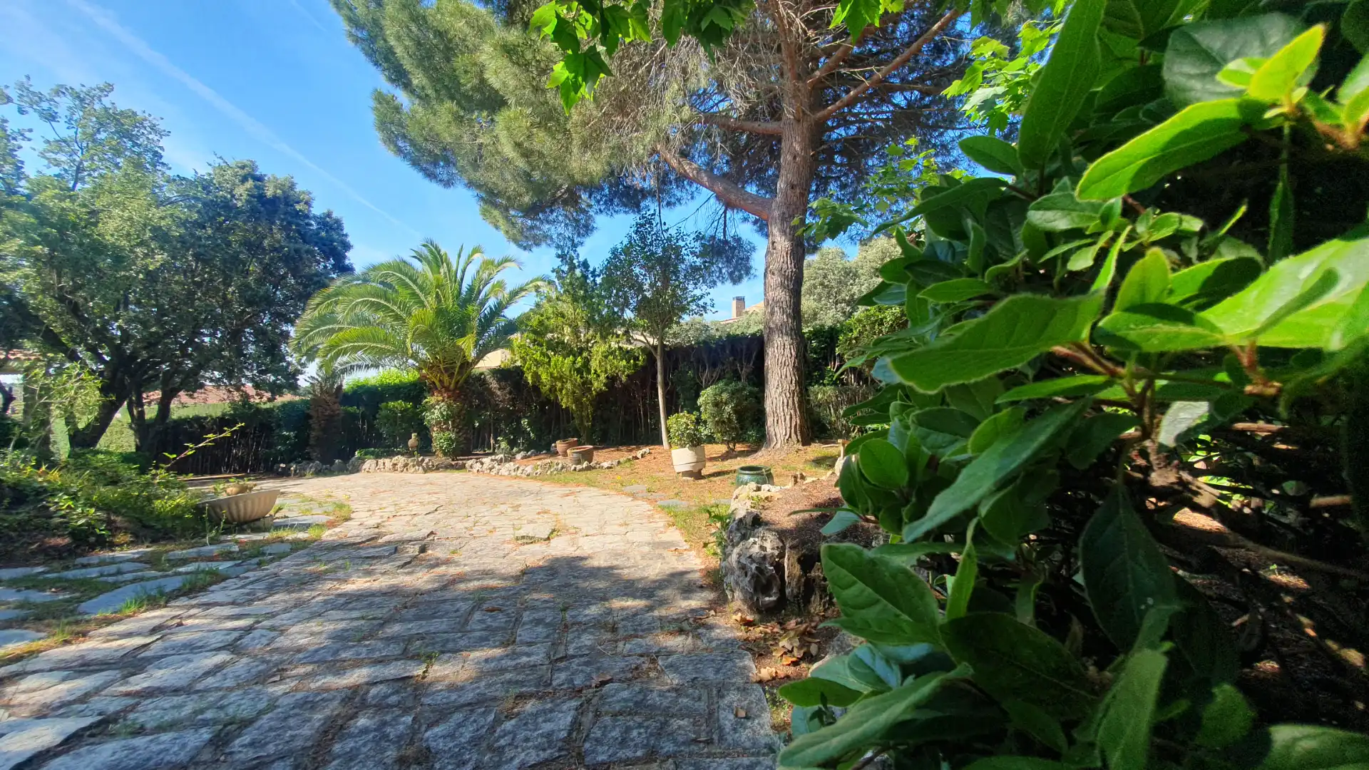 Jardí de Casa o xalet en venda en Valdemorillo amb Calefacció, Jardí privat i Terrassa
