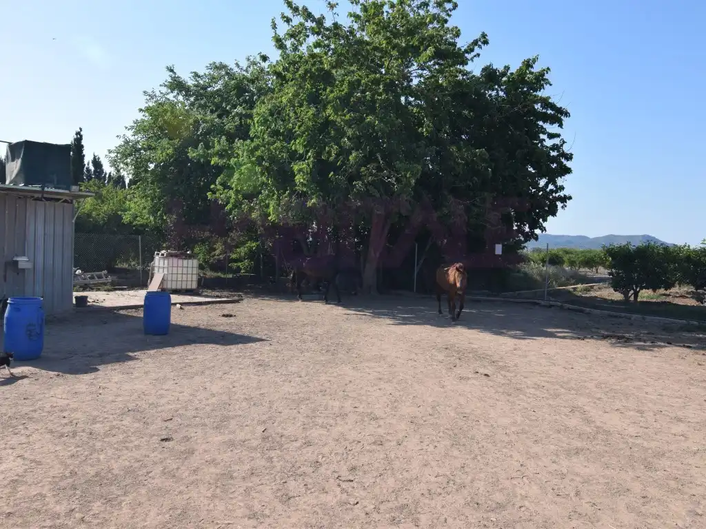 Terreno rustico in vendita a Poligono Poligono Numero 7, imagen 17