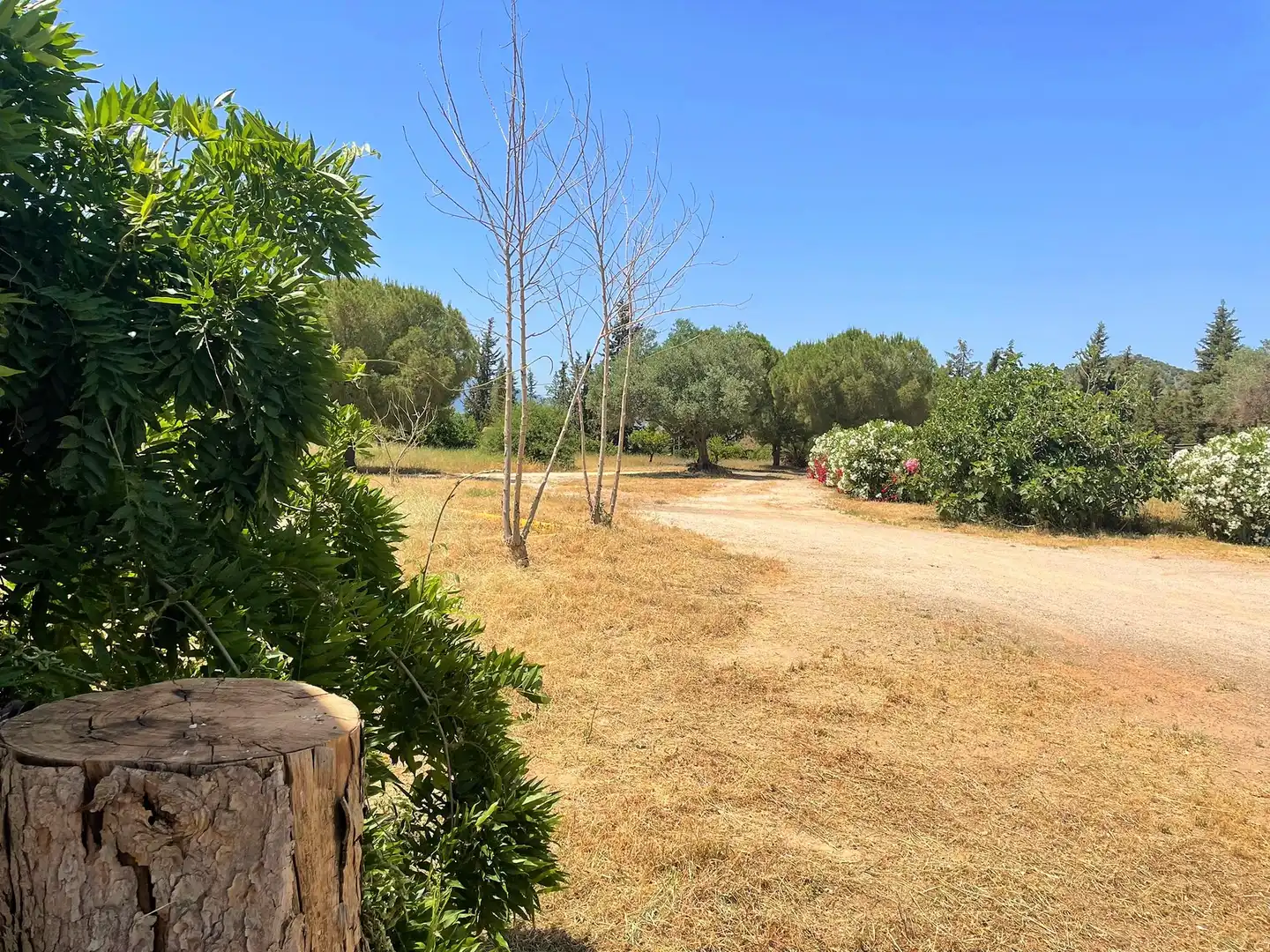 Trastero de alquiler en El Cortijuelo