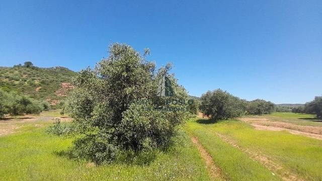 Terreno residencial en Venta en . en Sorihuela del Guadalimar