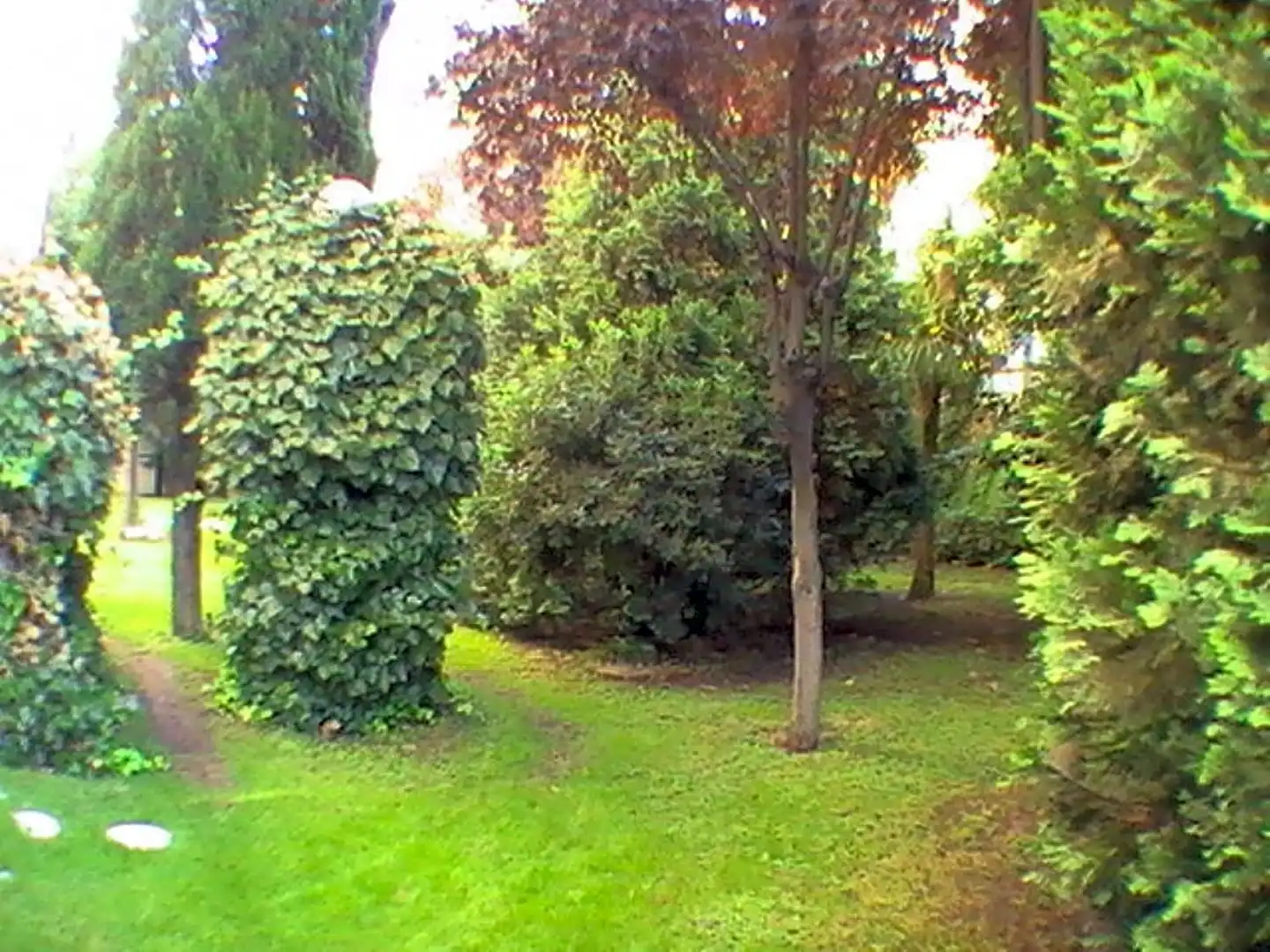 Garten von Wohnung zur Miete in Madrid mit Klimaanlage, Heizung und Gemeinschaftspool