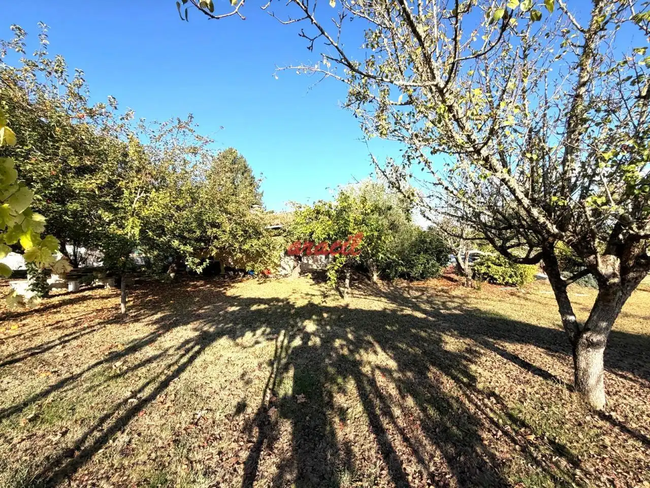 Chalet con piscina en venta en Coles, imagen 27