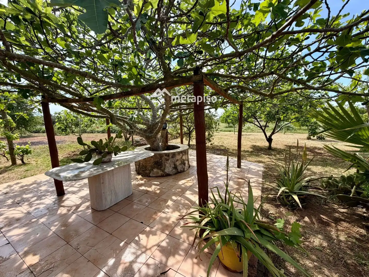 Terreno rustico in vendita a Santa Oliva, imagen 43