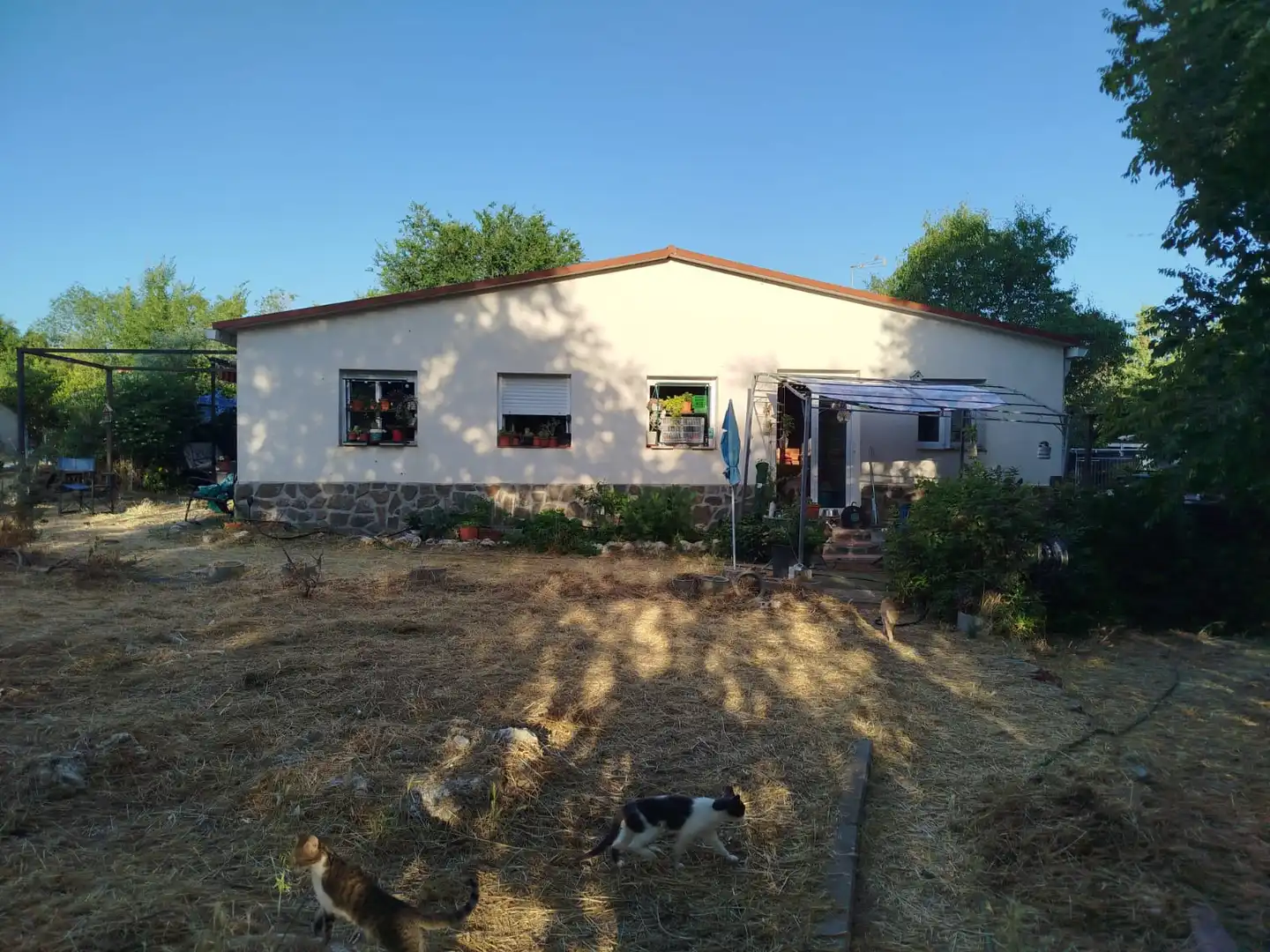 Vista exterior de Casa o xalet en venda en Fuentidueña de Tajo amb Aire condicionat, Calefacció i Jardí privat